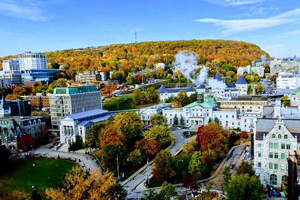 McGill campus